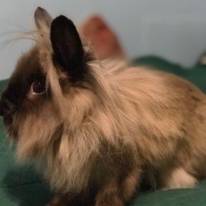 Meet your Posher, Mack